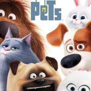 The Secret Life of Pets - الحياة السرية ...